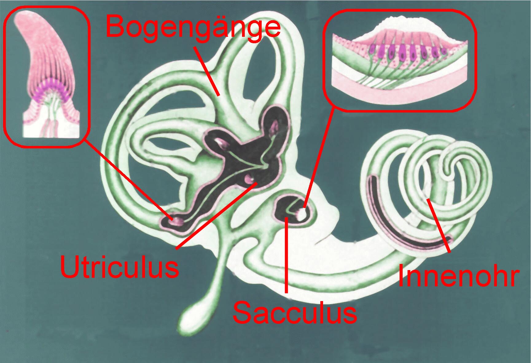 Schema Labyrinth